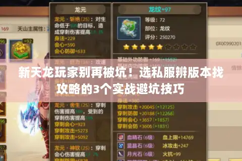 新天龙玩家别再被坑！选私服辨版本找攻略的3个实战避坑技巧
