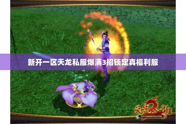 新开一区天龙私服爆满3招锁定真福利服