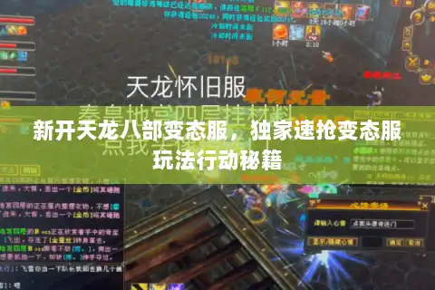 新开天龙八部变态服，独家速抢变态服玩法行动秘籍