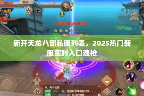 新开天龙八部私服列表，2025热门新服实时入口速抢