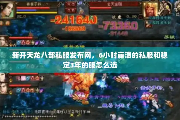 新开天龙八部私服发布网，6小时崩溃的私服和稳定3年的服怎么选