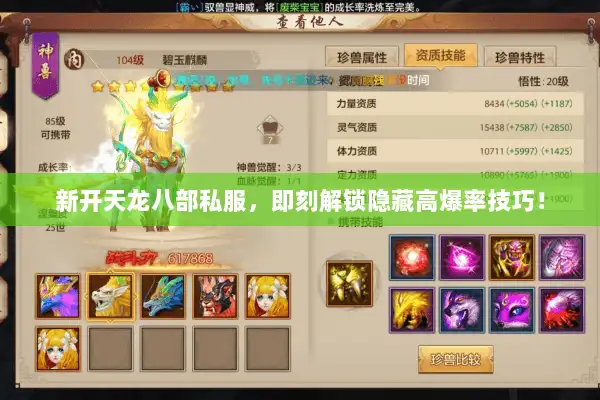 新开天龙八部私服,即刻解锁隐藏高爆率技巧! 新开天龙八部私服,即刻解锁隐藏高爆率技巧!