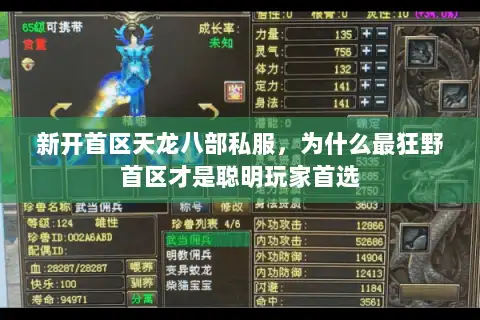 新开首区天龙八部私服，为什么最狂野首区才是聪明玩家首选
