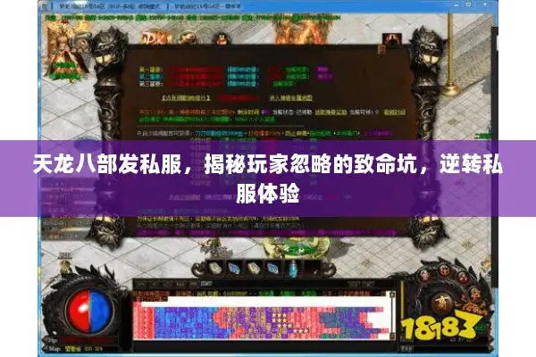 天龙八部发私服，揭秘玩家忽略的致命坑，逆转私服体验