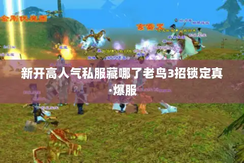 新开高人气私服藏哪了老鸟3招锁定真·爆服