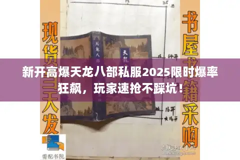 新开高爆天龙八部私服2025限时爆率狂飙，玩家速抢不踩坑！