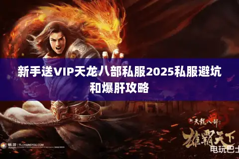 新手送VIP天龙八部私服2025私服避坑和爆肝攻略