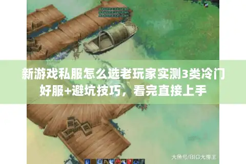 新游戏私服怎么选老玩家实测3类冷门好服+避坑技巧，看完直接上手