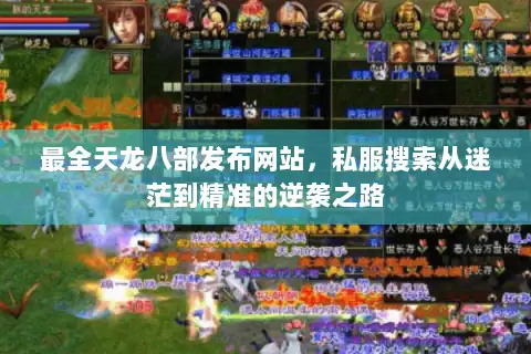 最全天龙八部发布网站，私服搜索从迷茫到精准的逆袭之路