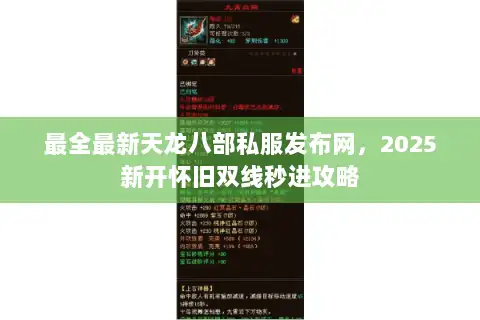 最全最新天龙八部私服发布网，2025新开怀旧双线秒进攻略
