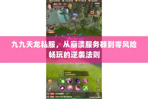 九九天龙私服，从崩溃服务器到零风险畅玩的逆袭法则