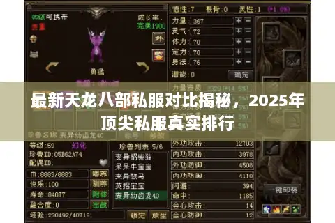 最新天龙八部私服对比揭秘，2025年顶尖私服真实排行