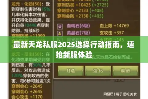 最新天龙私服2025选择行动指南，速抢新服体验
