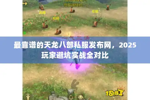 最靠谱的天龙八部私服发布网,2025玩家避坑实战全对比 最靠谱的天龙八部私服发布网,2025玩家避坑实战全对比