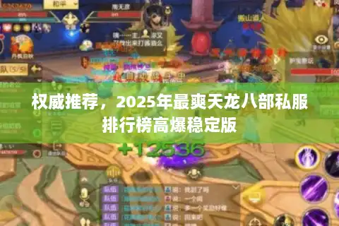 权威推荐，2025年最爽天龙八部私服排行榜高爆稳定版