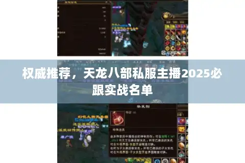 权威推荐，天龙八部私服主播2025必跟实战名单