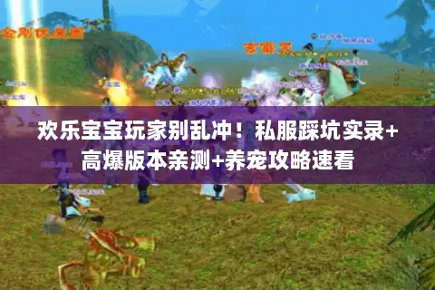 欢乐宝宝玩家别乱冲！私服踩坑实录+高爆版本亲测+养宠攻略速看