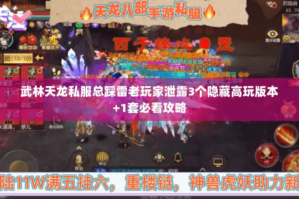 武林天龙私服总踩雷老玩家泄露3个隐藏高玩版本+1套必看攻略