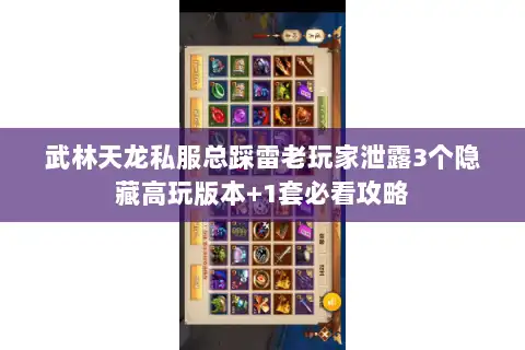 武林天龙私服总踩雷老玩家泄露3个隐藏高玩版本+1套必看攻略