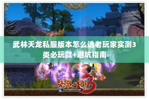 武林天龙私服版本怎么选老玩家实测3类必玩款+避坑指南