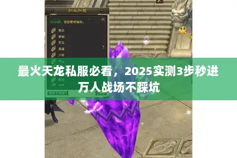 最火天龙私服必看，2025实测3步秒进万人战场不踩坑