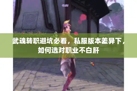 武魂转职避坑必看，私服版本差异下，如何选对职业不白肝