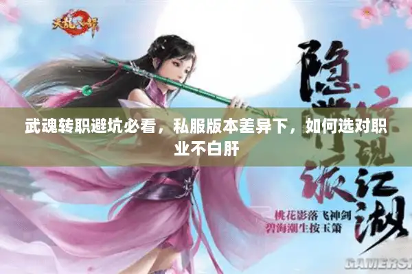 武魂转职避坑必看，私服版本差异下，如何选对职业不白肝