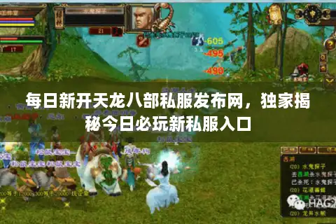 每日新开天龙八部私服发布网，独家揭秘今日必玩新私服入口