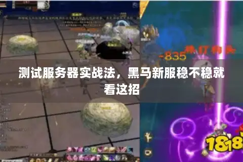 测试服务器实战法，黑马新服稳不稳就看这招