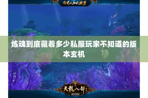 炼魂到底藏着多少私服玩家不知道的版本玄机