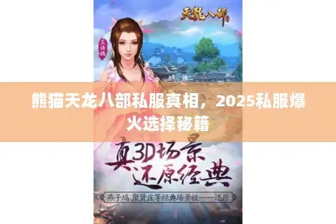 熊猫天龙八部私服真相,2025私服爆火选择秘籍 熊猫天龙八部私服真相,2025私服爆火选择秘籍