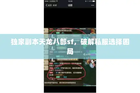 独家副本天龙八部sf，破解私服选择困局