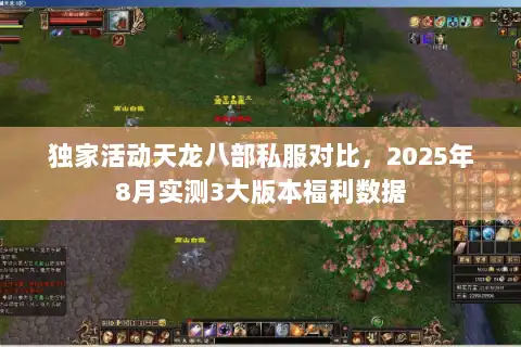 独家活动天龙八部私服对比，2025年8月实测3大版本福利数据