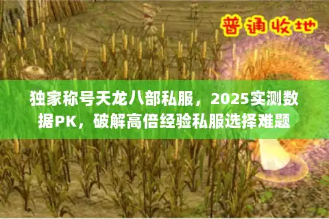 独家称号天龙八部私服，2025实测数据PK，破解高倍经验私服选择难题