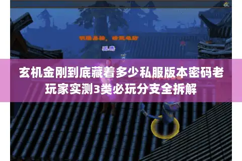 玄机金刚到底藏着多少私服版本密码老玩家实测3类必玩分支全拆解 玄机金刚到底藏着多少私服版本密码老玩家实测3类必玩分支全拆解