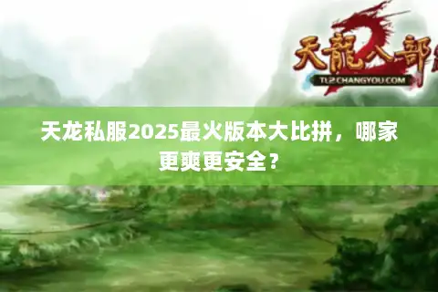 天龙私服2025最火版本大比拼，哪家更爽更安全？