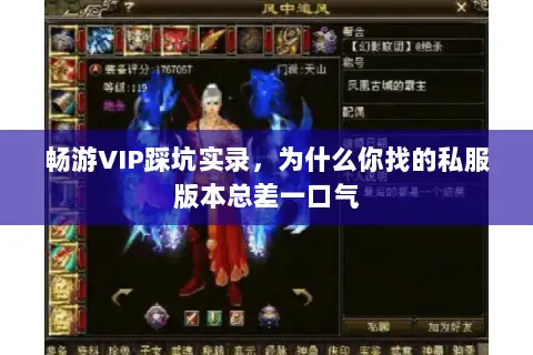 畅游VIP踩坑实录,为什么你找的私服版本总差一口气 畅游VIP踩坑实录,为什么你找的私服版本总差一口气