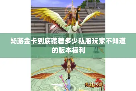 畅游金卡到底藏着多少私服玩家不知道的版本福利 畅游金卡到底藏着多少私服玩家不知道的版本福利