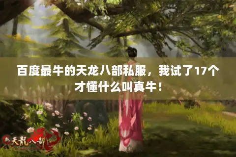 百度最牛的天龙八部私服，我试了17个才懂什么叫真牛！