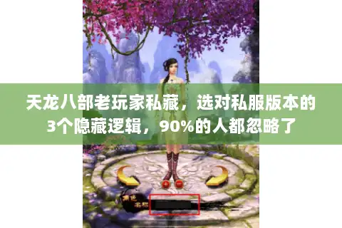 天龙八部老玩家私藏，选对私服版本的3个隐藏逻辑，90%的人都忽略了