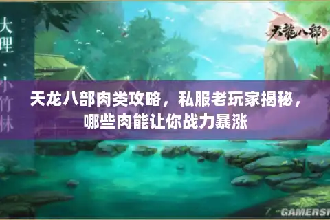 天龙八部肉类攻略，私服老玩家揭秘，哪些肉能让你战力暴涨