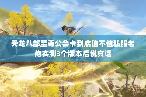 天龙八部至尊公会卡到底值不值私服老炮实测3个版本后说真话