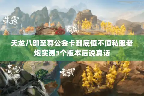 天龙八部至尊公会卡到底值不值私服老炮实测3个版本后说真话