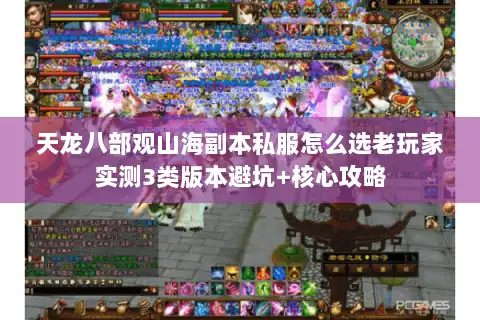 天龙八部观山海副本私服怎么选老玩家实测3类版本避坑+核心攻略 天龙八部观山海副本私服怎么选老玩家实测3类版本避坑+核心攻略