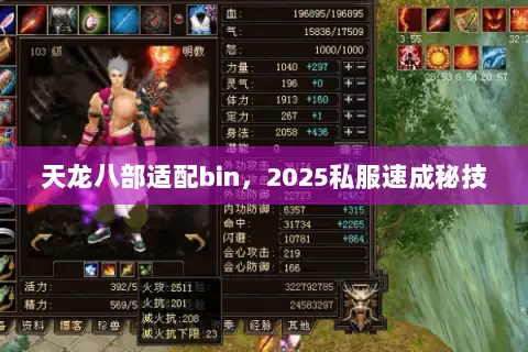 天龙八部适配bin，2025私服速成秘技