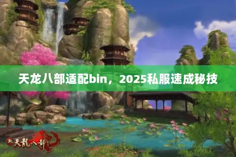 天龙八部适配bin，2025私服速成秘技