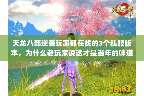 天龙八部逆袭玩家都在找的3个私服版本,为什么老玩家说这才是当年的味道 天龙八部逆袭玩家都在找的3个私服版本,为什么老玩家说这才是当年的味道