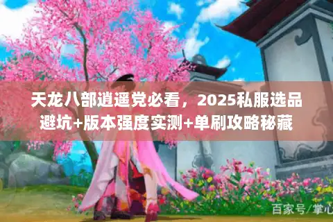 天龙八部逍遥党必看，2025私服选品避坑+版本强度实测+单刷攻略秘藏