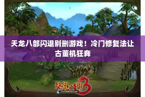 天龙八部闪退别删游戏！冷门修复法让古董机狂奔