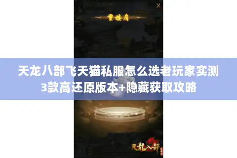 天龙八部飞天猫私服怎么选老玩家实测3款高还原版本+隐藏获取攻略